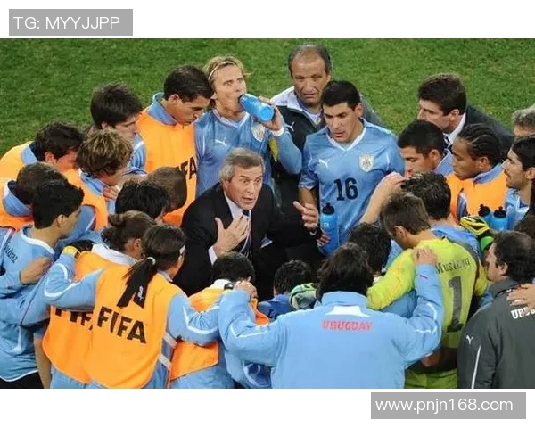 南京足球队的拼搏历程与世界杯预选赛的荣耀之路